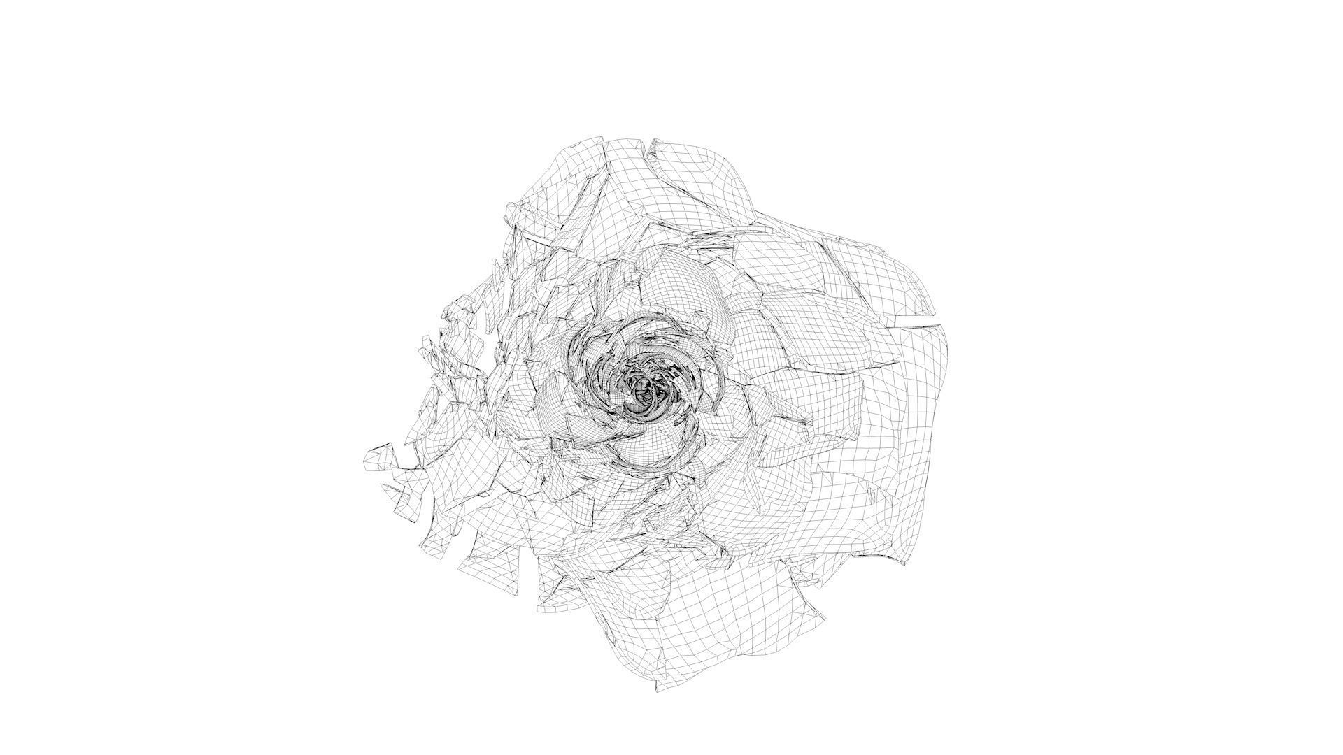 Rose Blast Animated 3D model_13