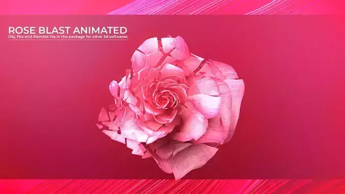 Rose Blast Animated 3D model