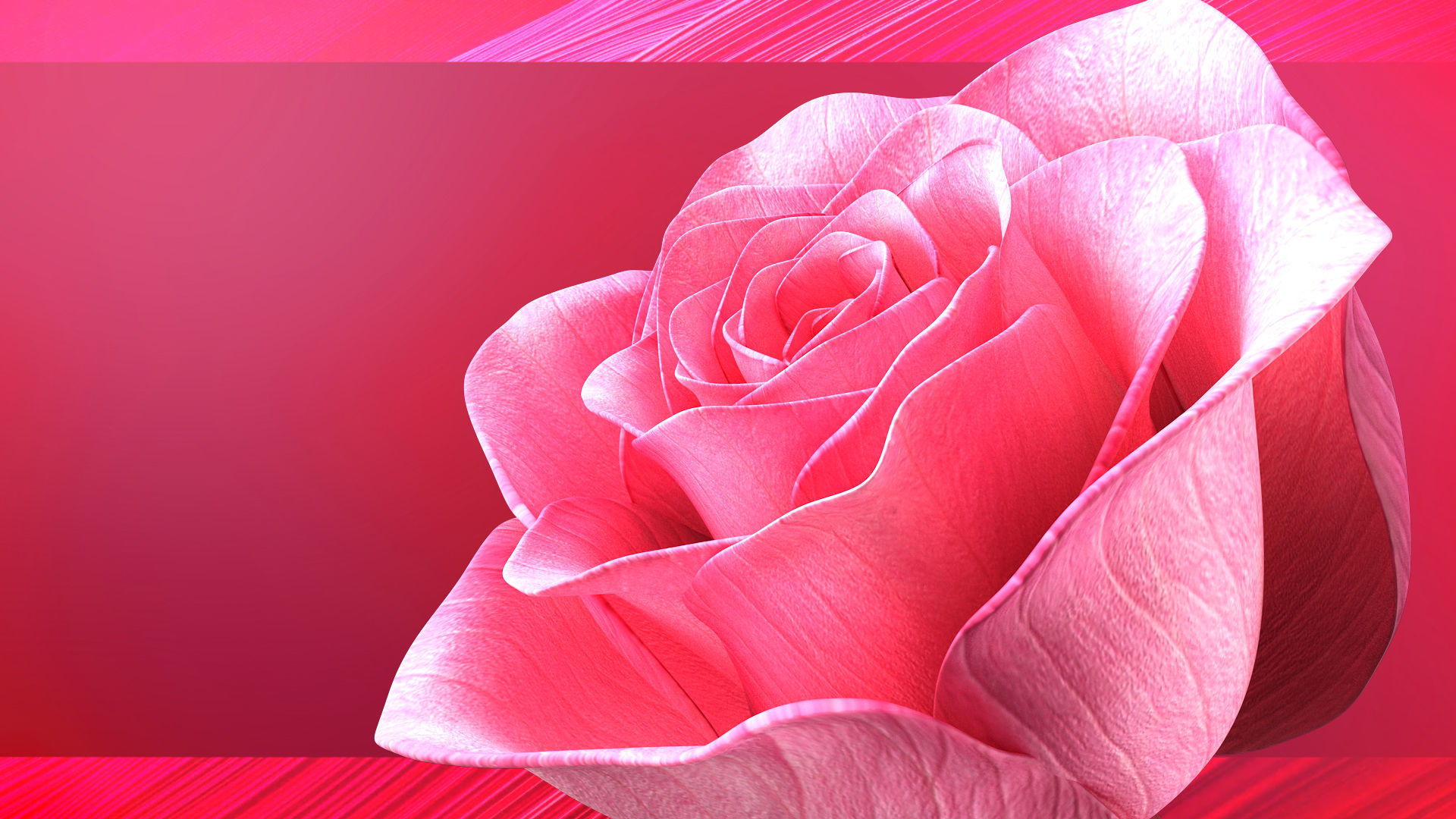 Rose Blast Animated 3D model_7