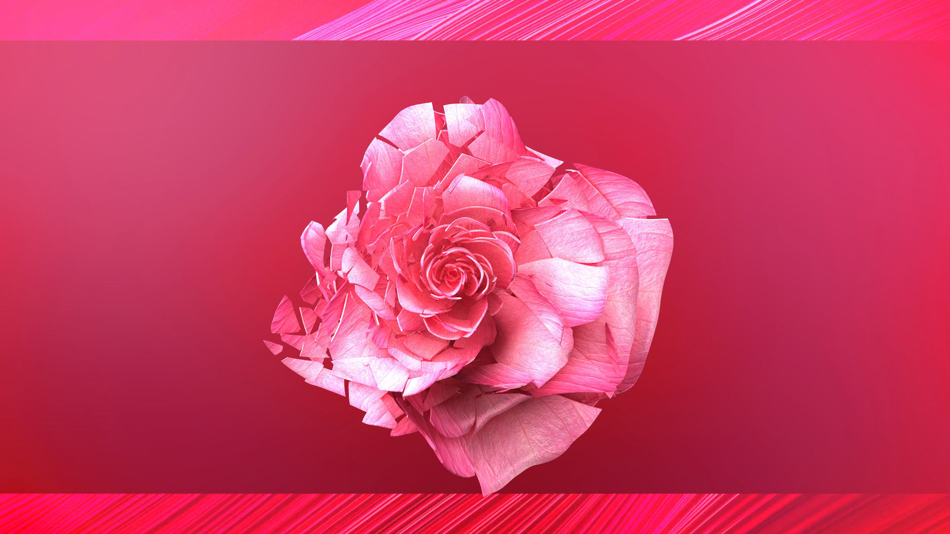 Rose Blast Animated 3D model_10