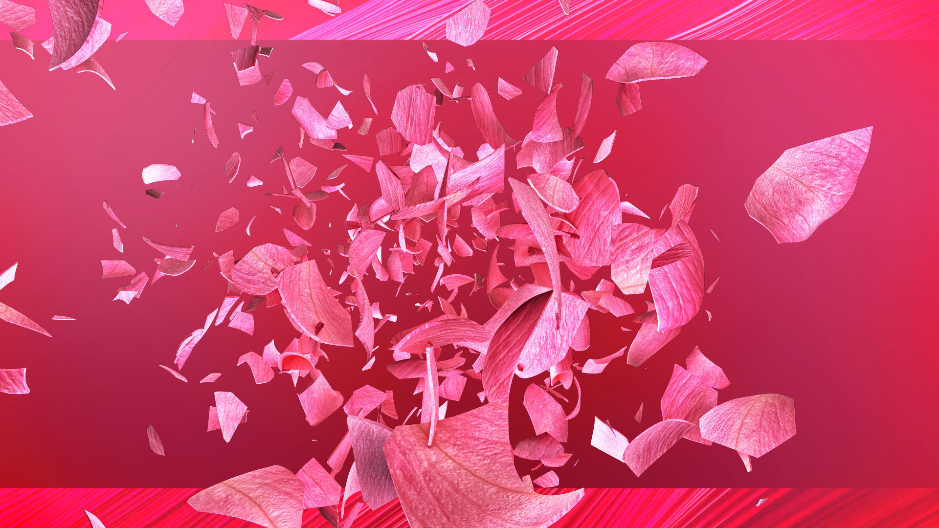 Rose Blast Animated 3D model_12