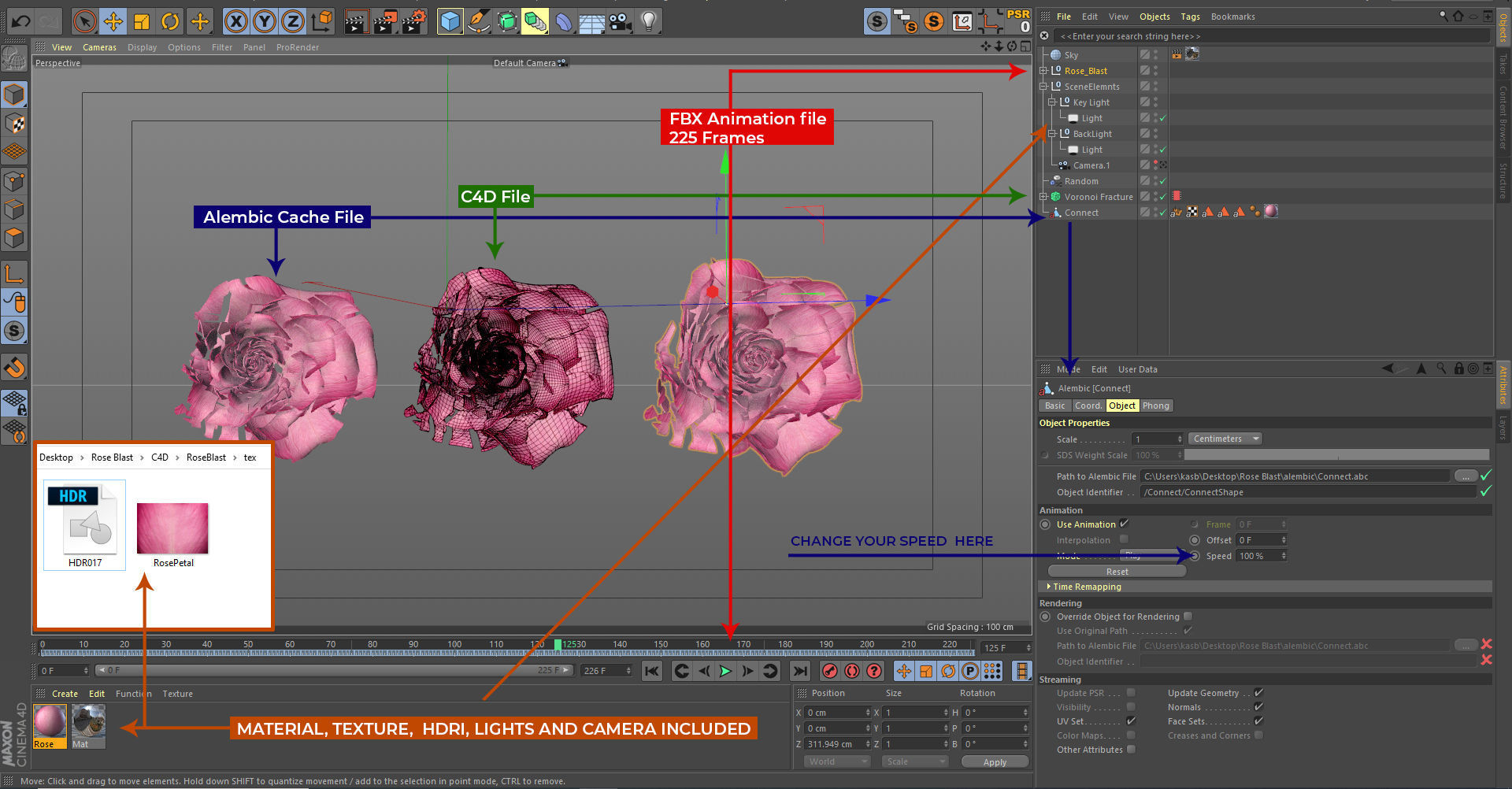 Rose Blast Animated 3D model_3