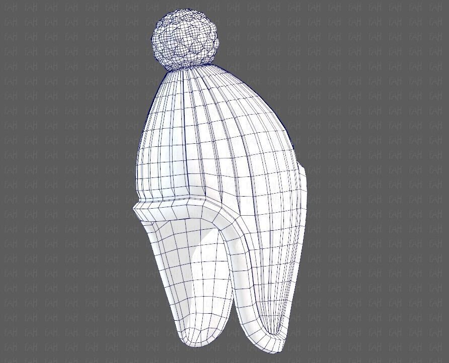 Cap V10 Low-poly 3D model_44