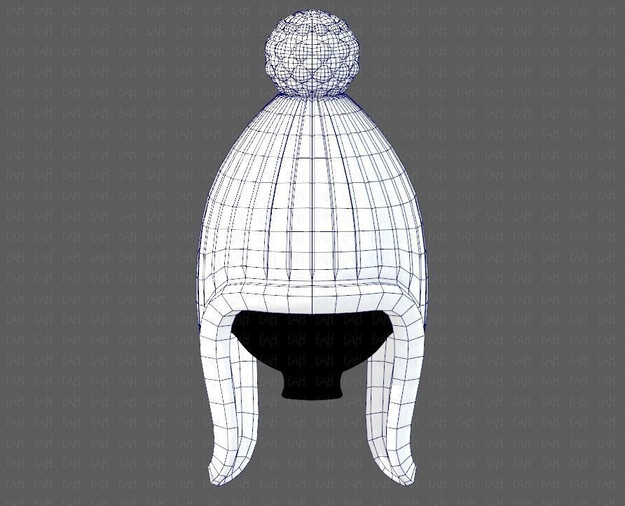 Cap V10 Low-poly 3D model_29