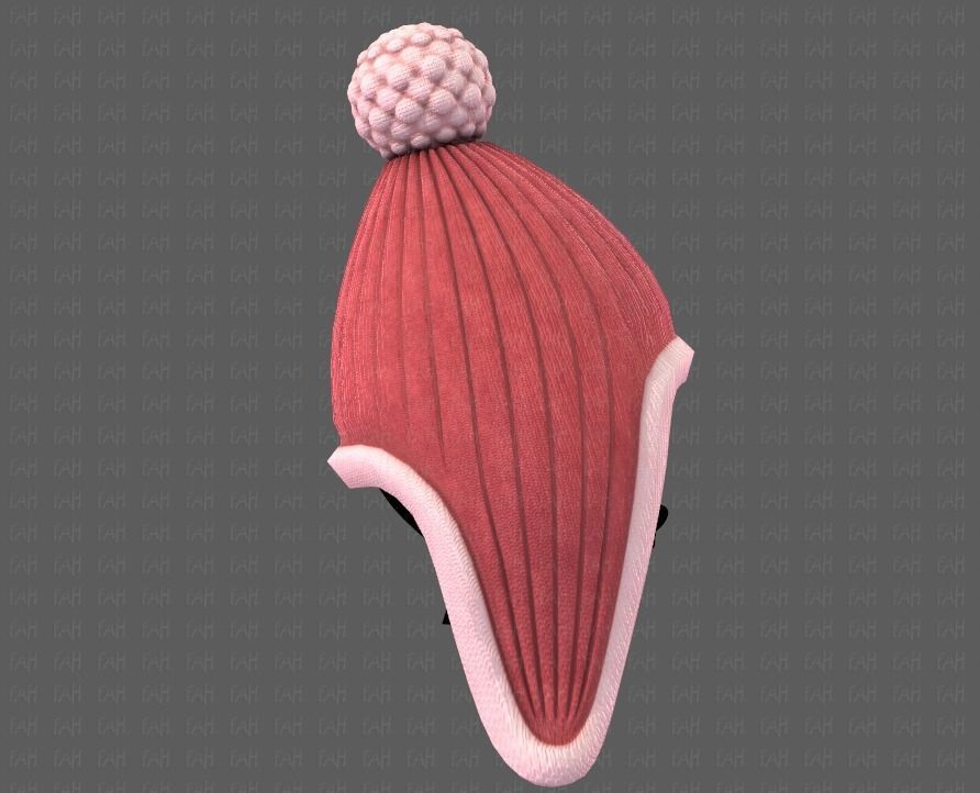 Cap V10 Low-poly 3D model_19