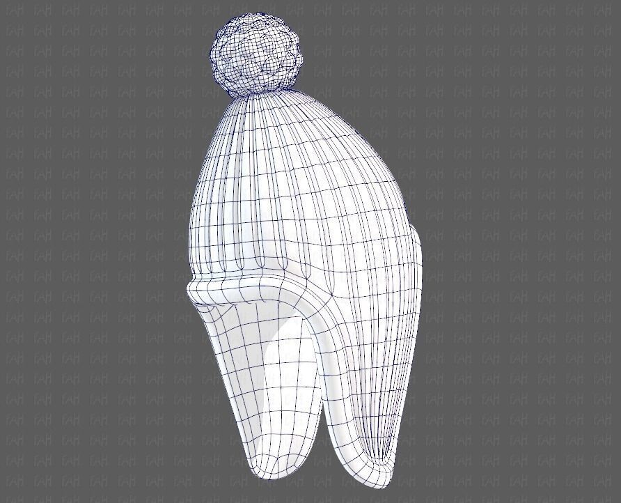 Cap V10 Low-poly 3D model_42