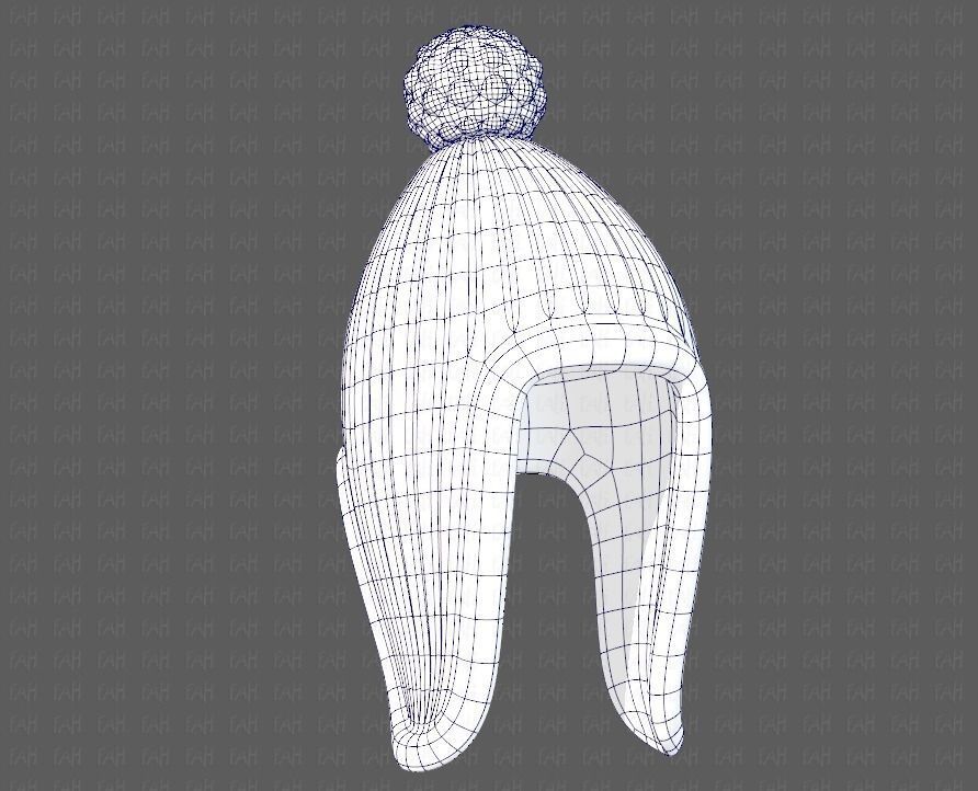 Cap V10 Low-poly 3D model_38