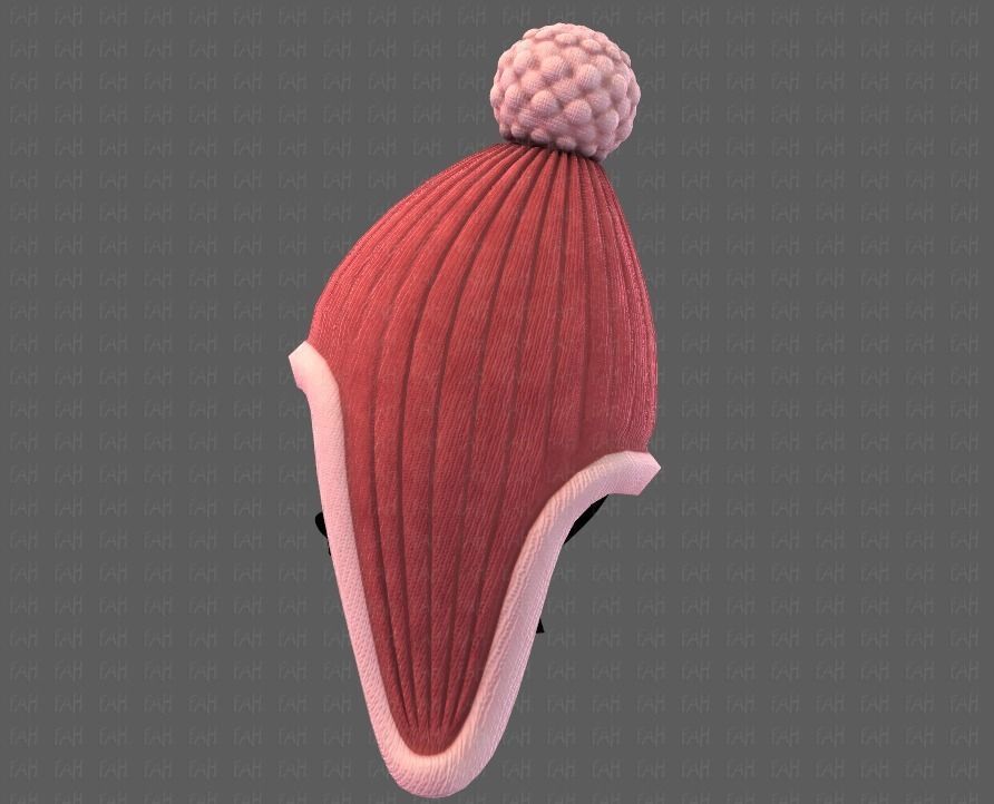 Cap V10 Low-poly 3D model_23