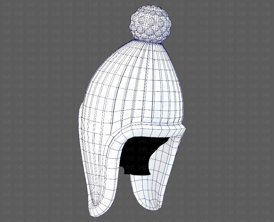Cap V10 Low-poly 3D model_30