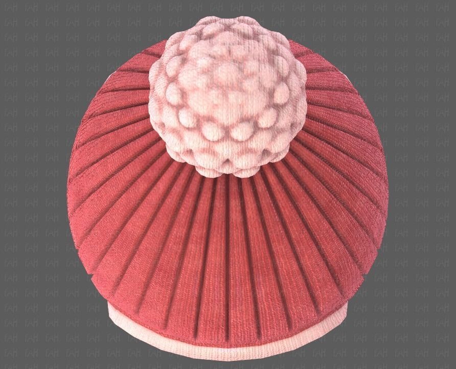 Cap V10 Low-poly 3D model_35