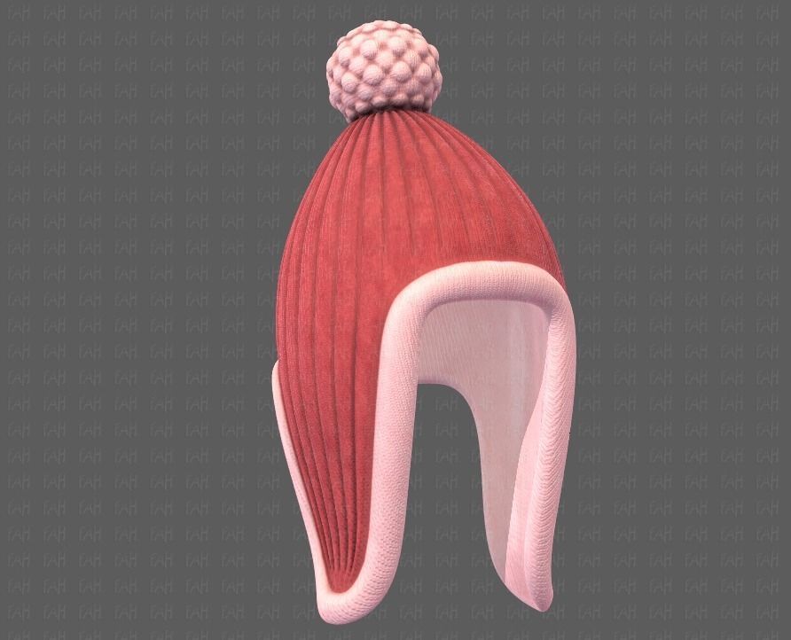 Cap V10 Low-poly 3D model_37