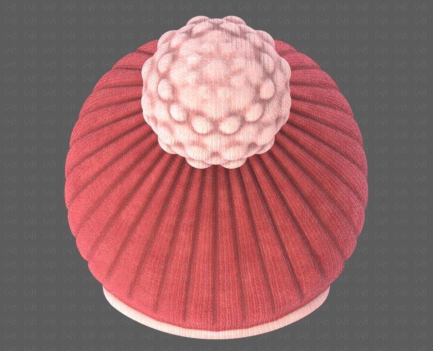 Cap V10 Low-poly 3D model_33