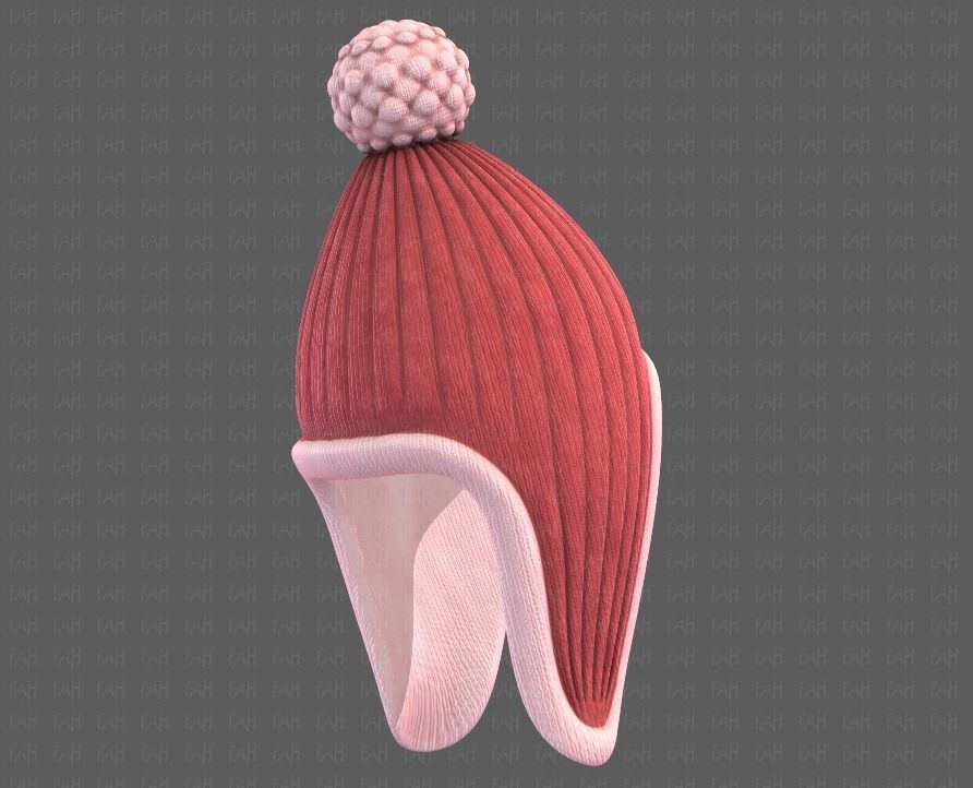 Cap V10 Low-poly 3D model_41