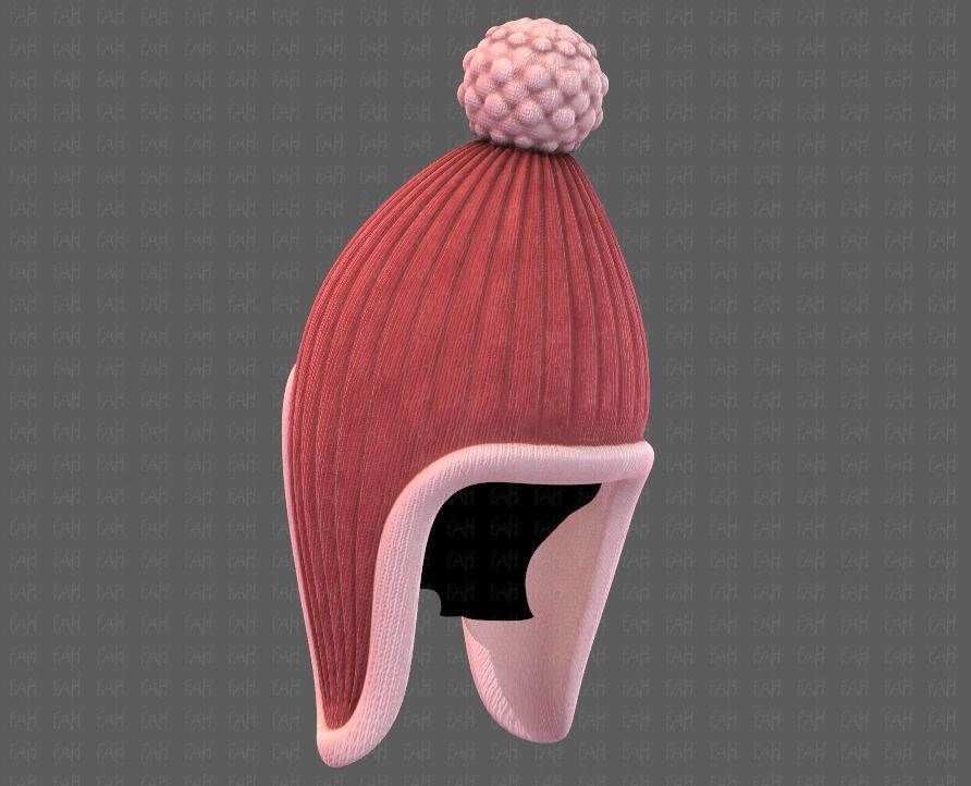 Cap V10 Low-poly 3D model_5