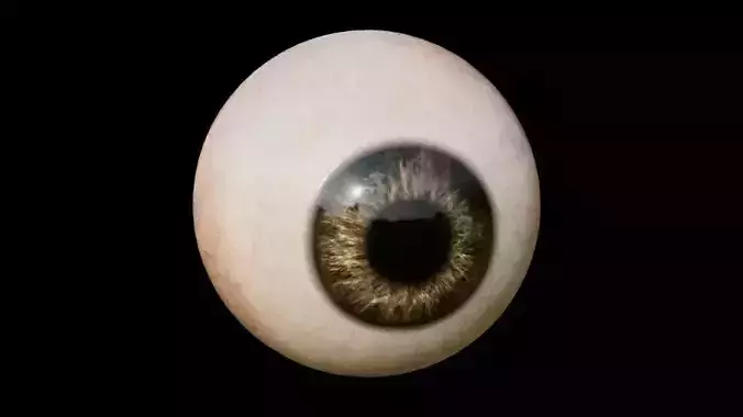 Realistic Brown Eyeball