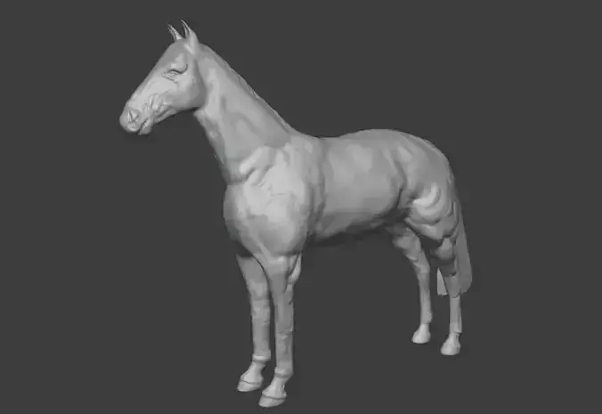 Horse realistic