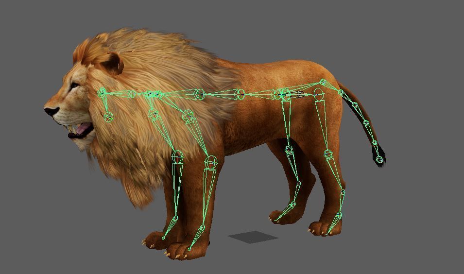 Lowpoly Male Lion Rigged and Animated for VR AR Games Low-poly 3D model_7