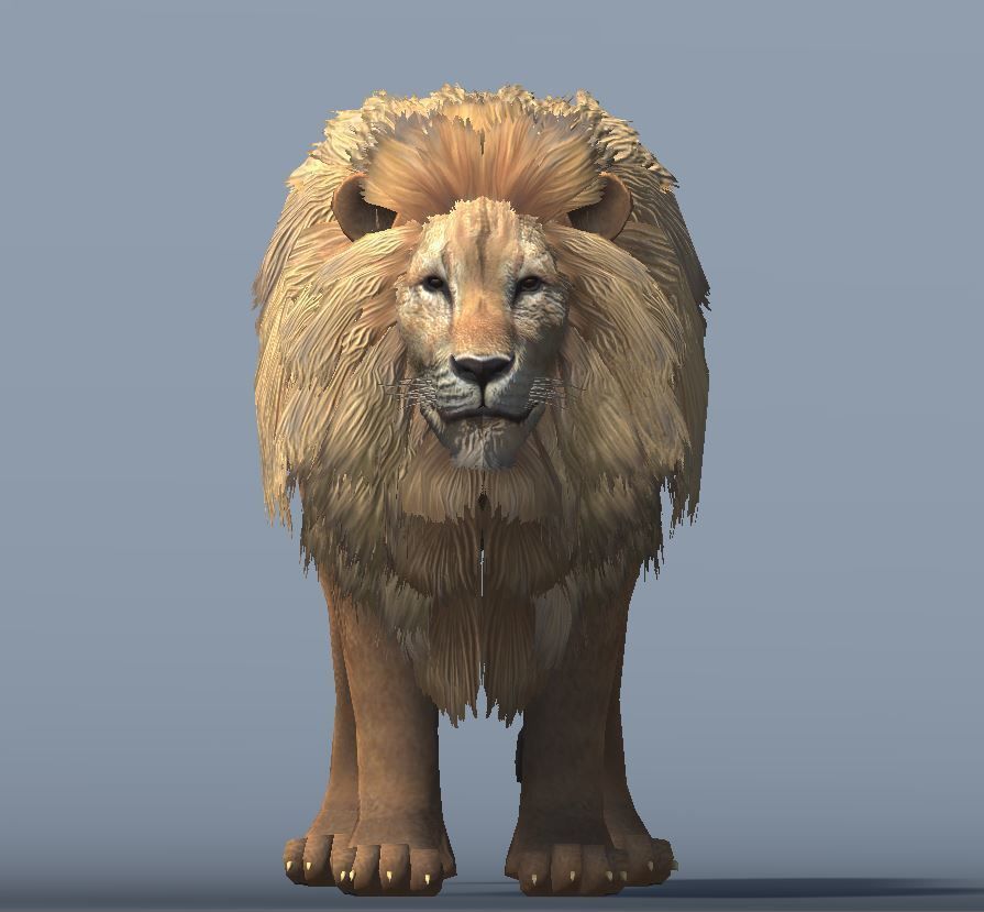 Lowpoly Male Lion Rigged and Animated for VR AR Games Low-poly 3D model_3