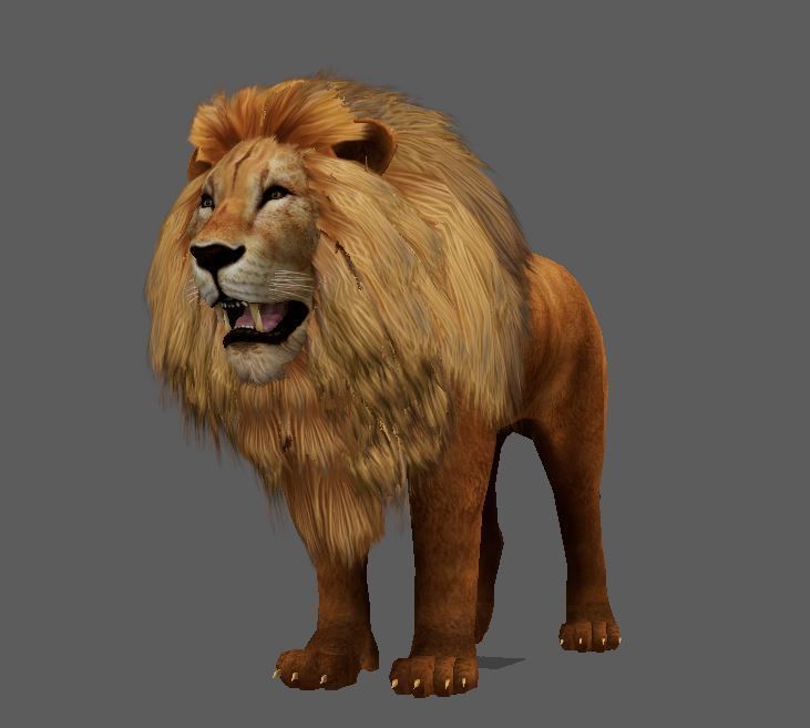 Lowpoly Male Lion Rigged and Animated for VR AR Games Low-poly 3D model_6