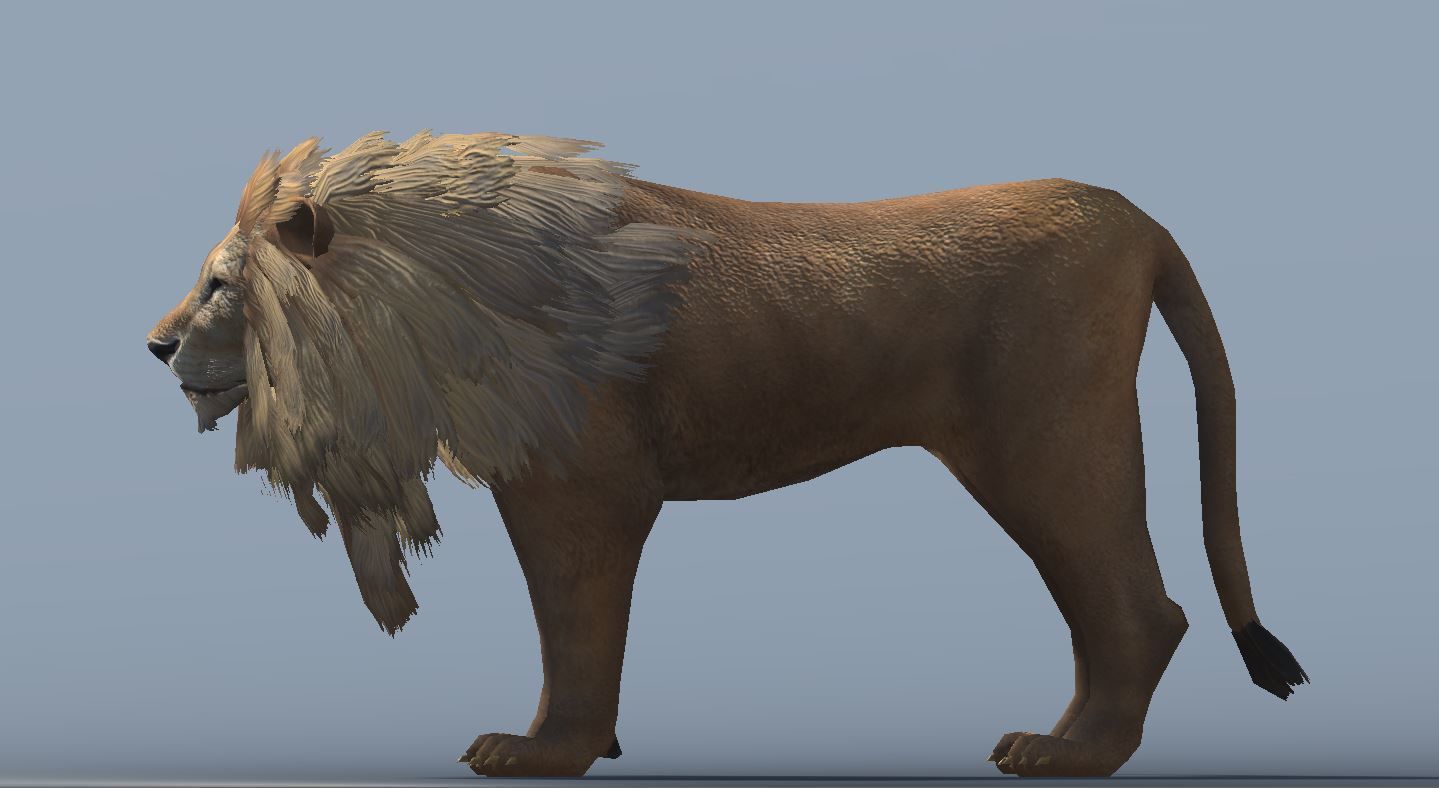 Lowpoly Male Lion Rigged and Animated for VR AR Games Low-poly 3D model_4