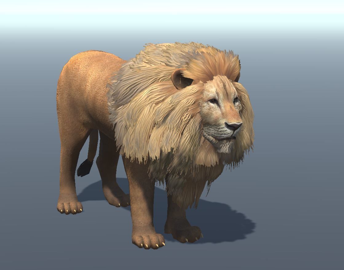 Lowpoly Male Lion Rigged and Animated for VR AR Games Low-poly 3D model_2