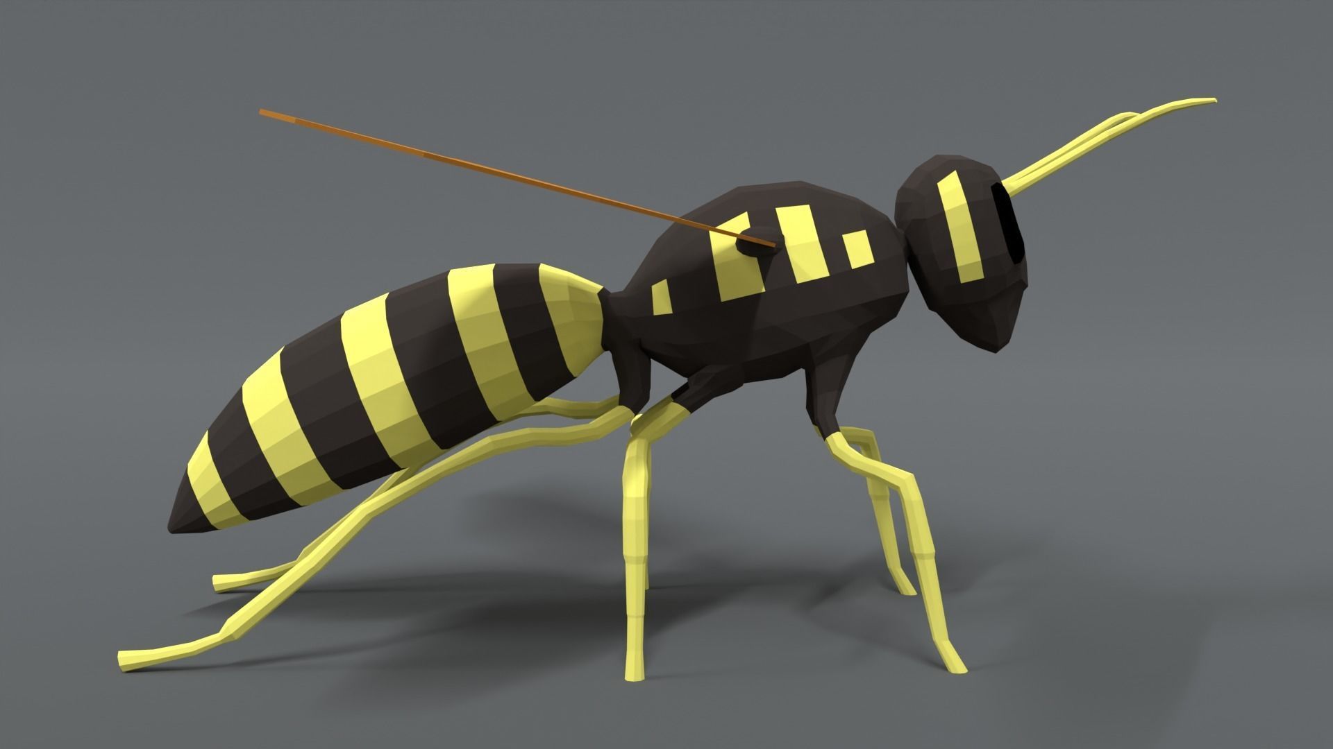 Low Poly Cartoon Hornet Low-poly 3D model_5