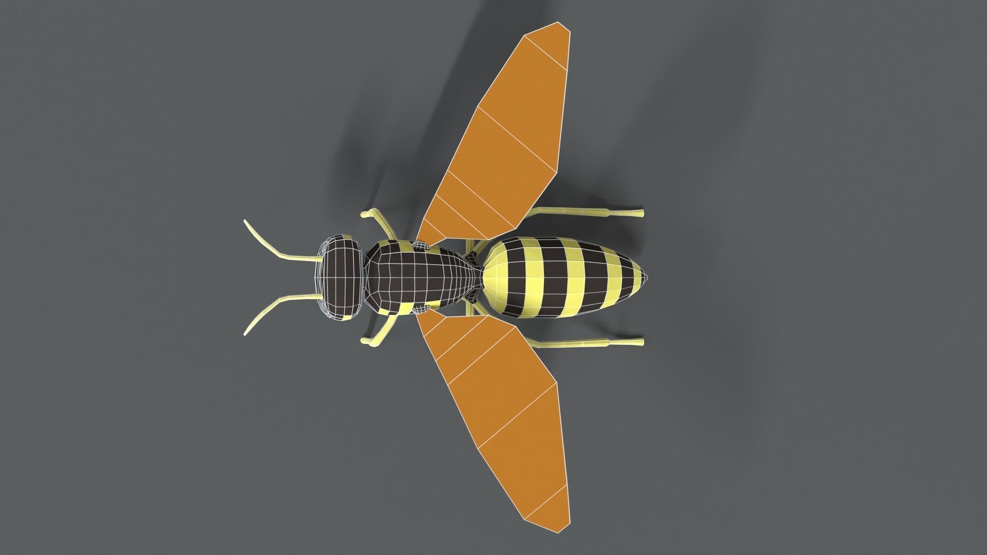 Low Poly Cartoon Hornet Low-poly 3D model_17