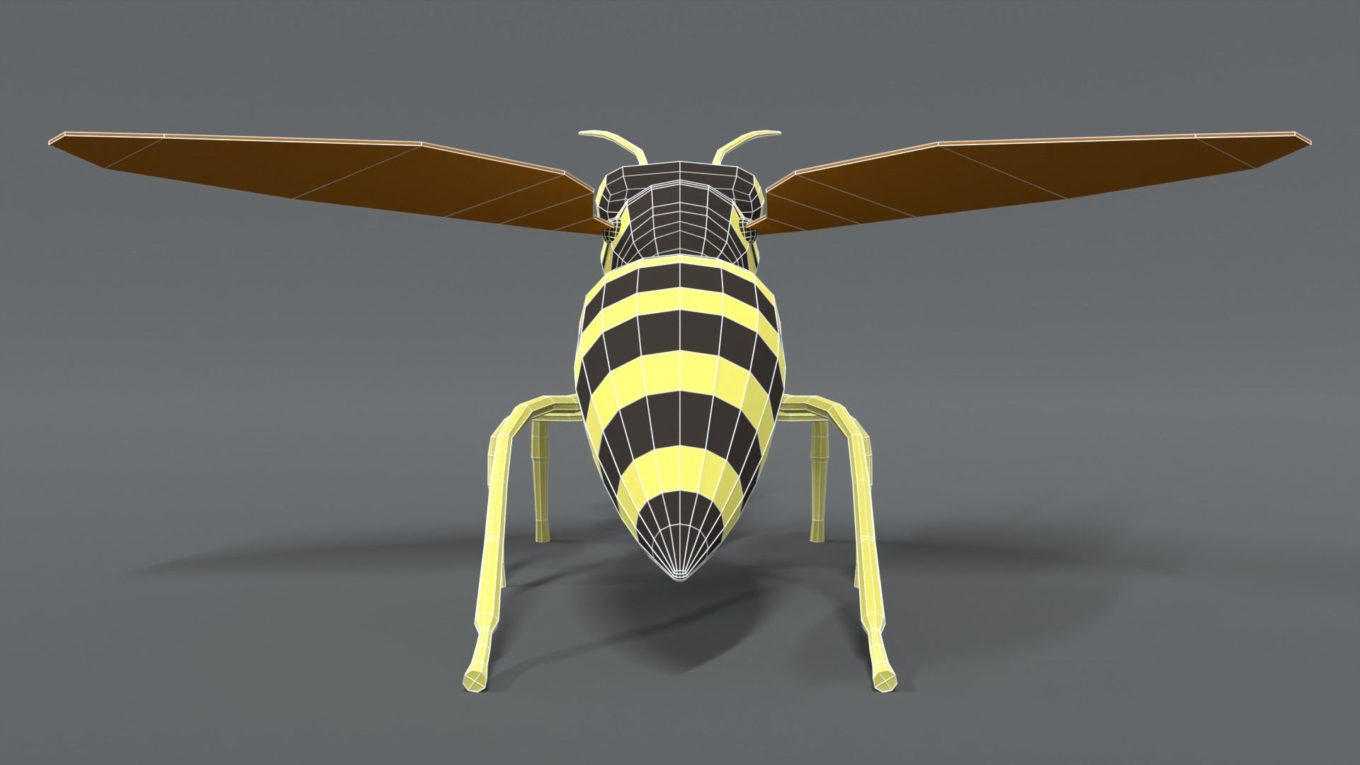 Low Poly Cartoon Hornet Low-poly 3D model_12