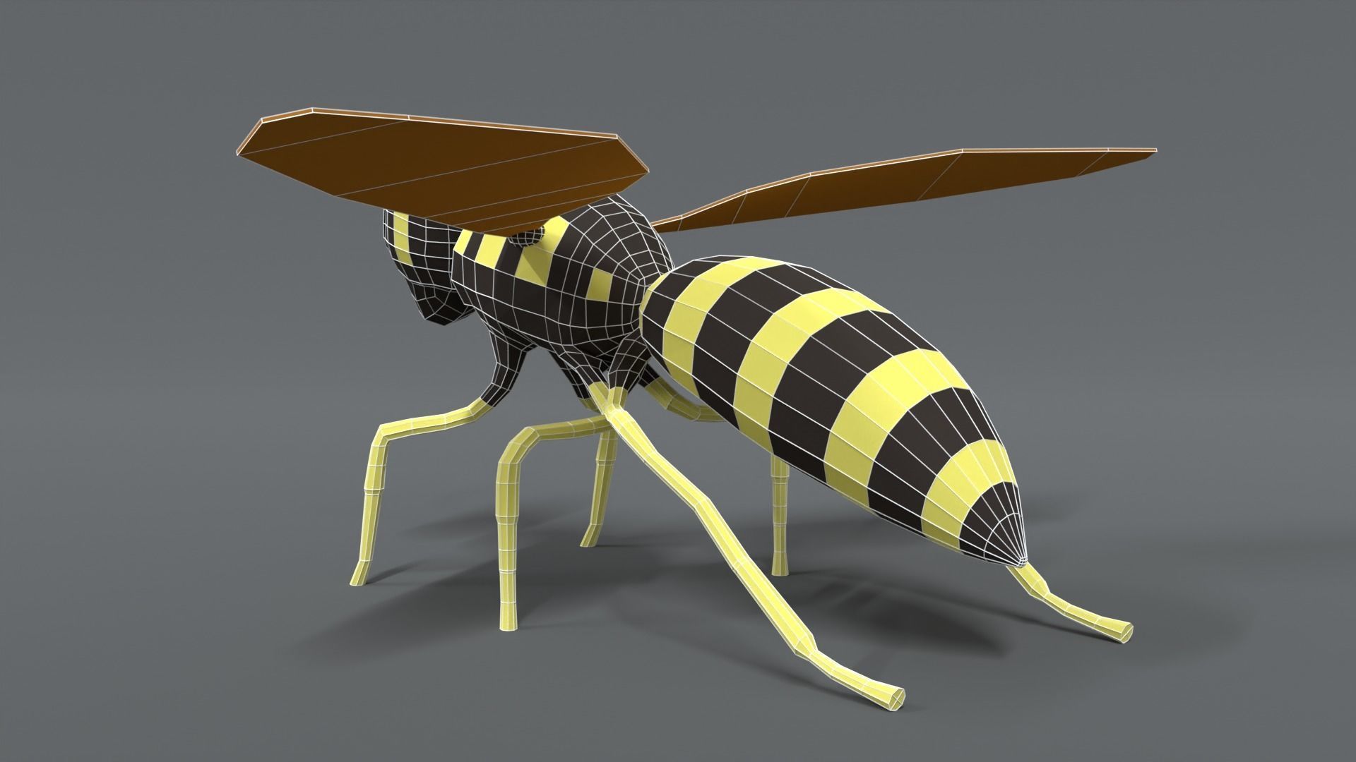 Low Poly Cartoon Hornet Low-poly 3D model_11