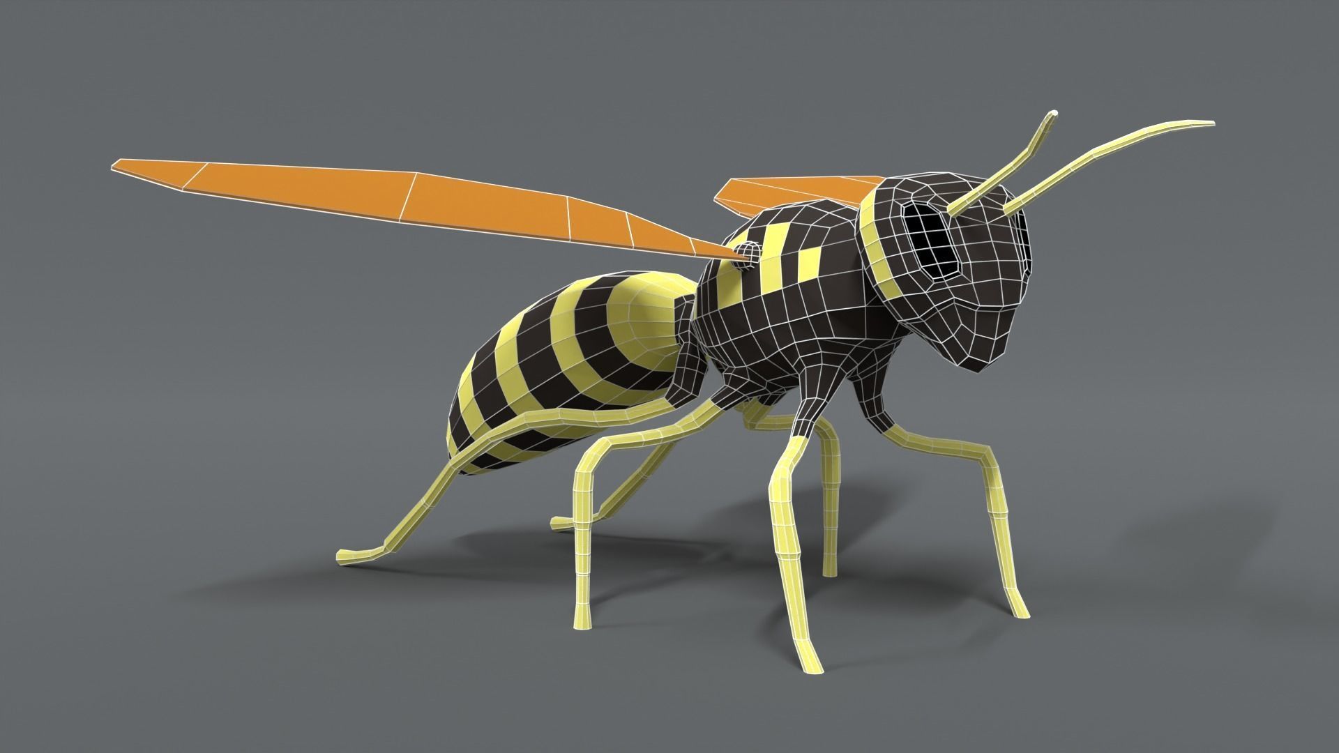 Low Poly Cartoon Hornet Low-poly 3D model_15