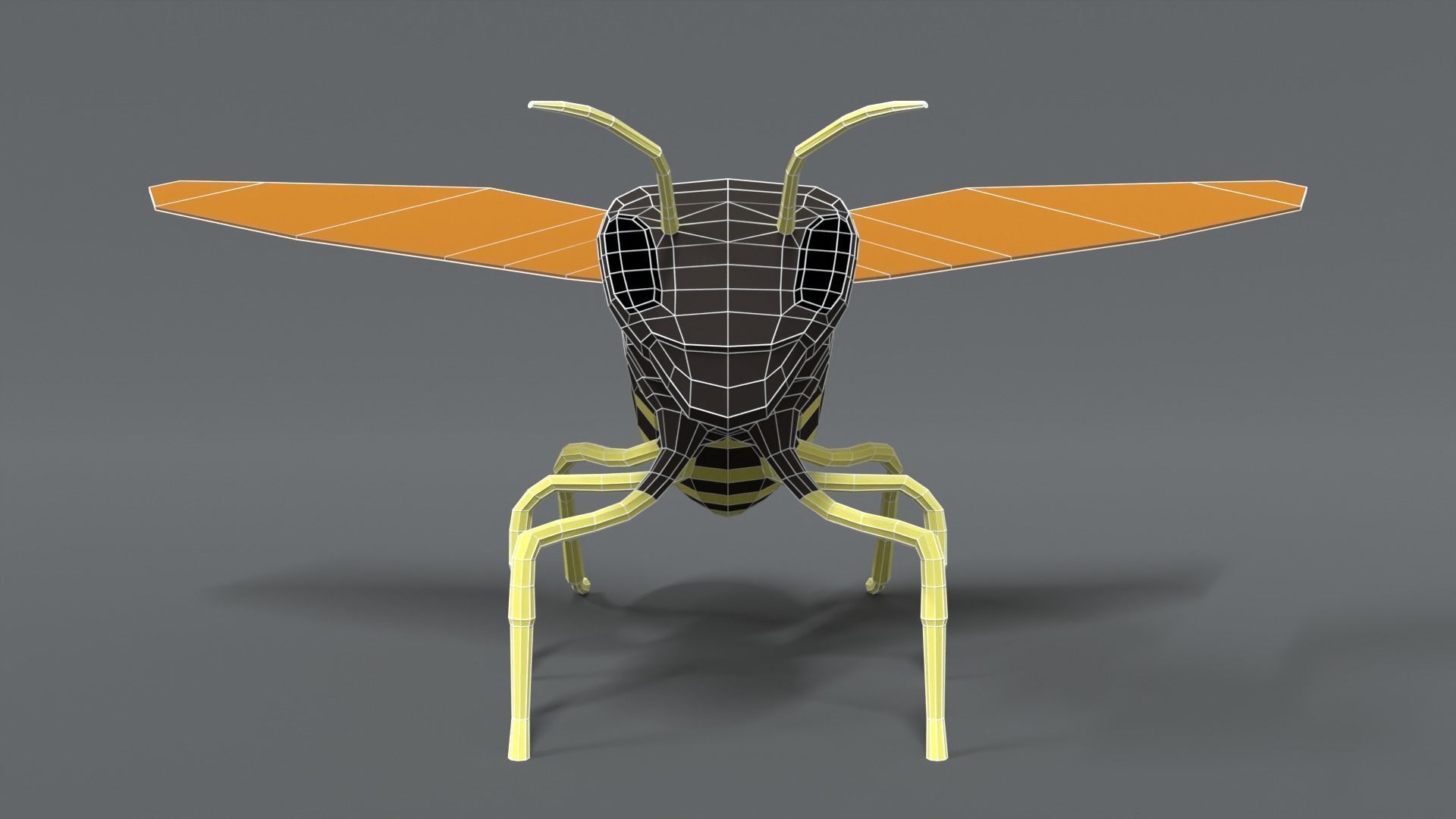 Low Poly Cartoon Hornet Low-poly 3D model_16