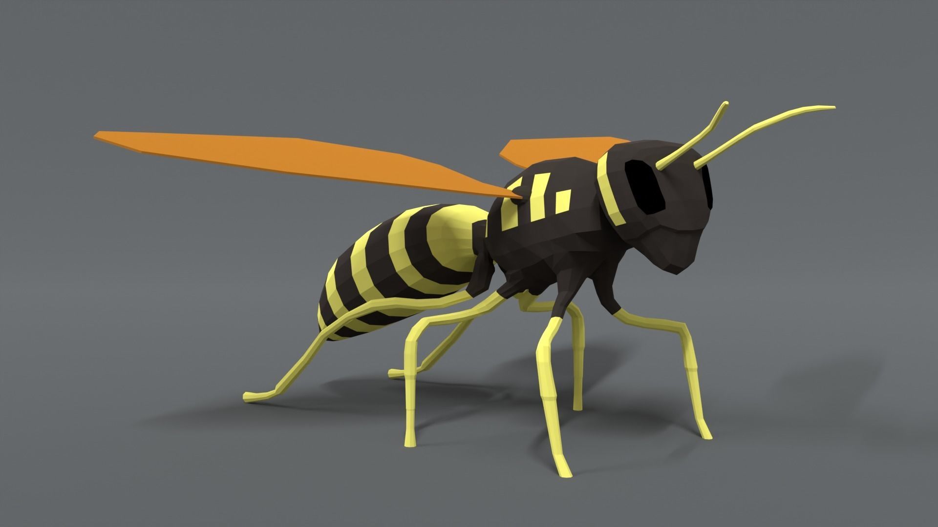 Low Poly Cartoon Hornet Low-poly 3D model_6