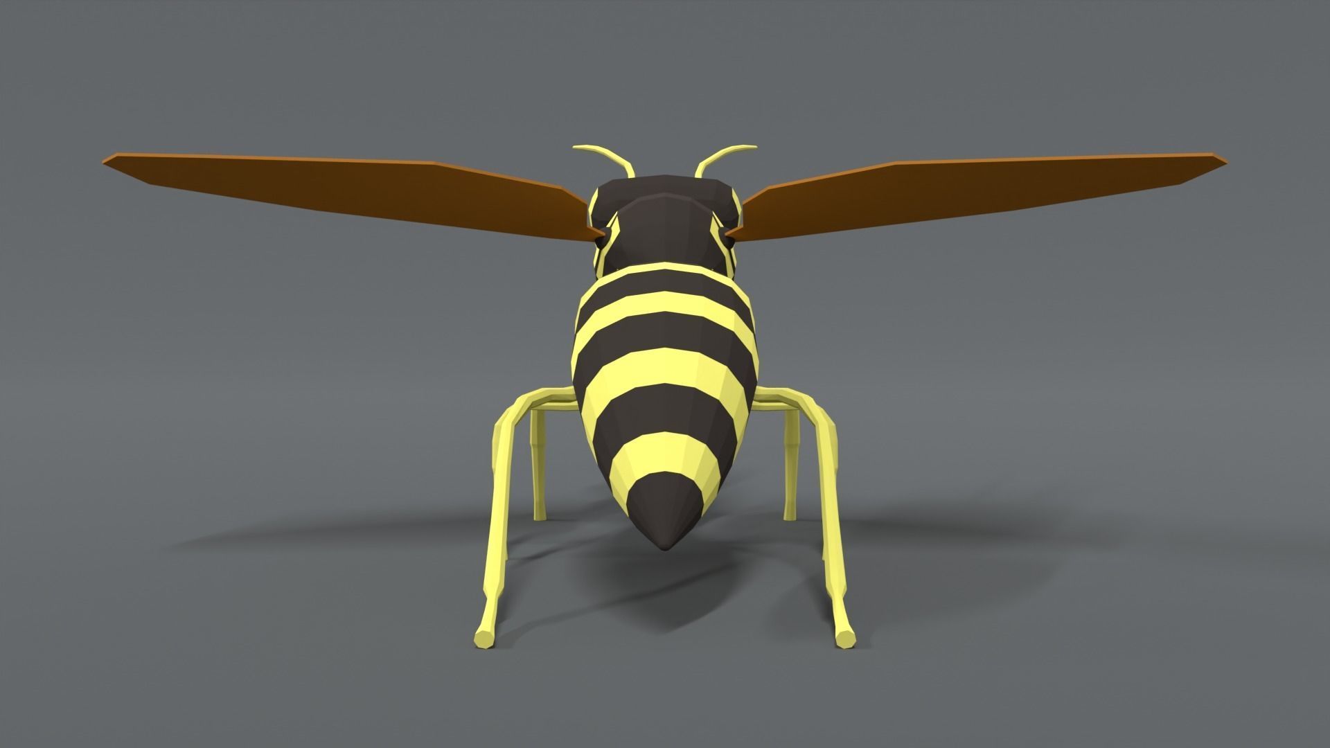 Low Poly Cartoon Hornet Low-poly 3D model_3