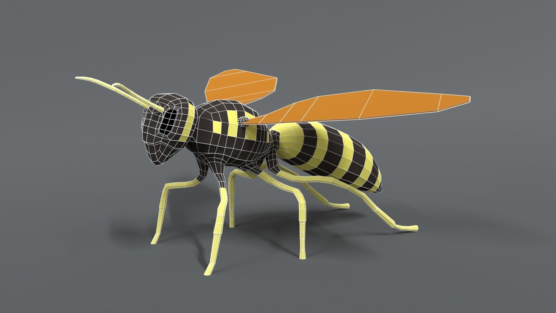 Low Poly Cartoon Hornet Low-poly 3D model_9