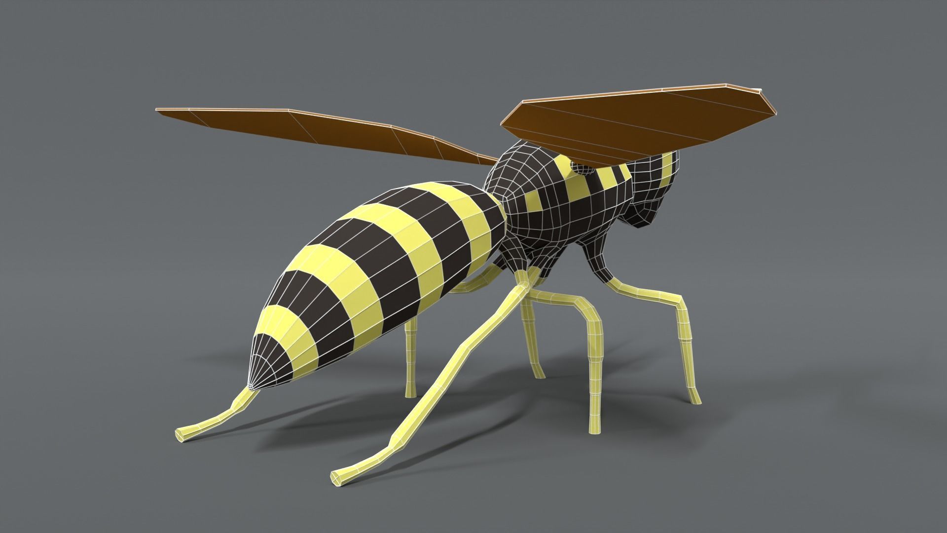Low Poly Cartoon Hornet Low-poly 3D model_13