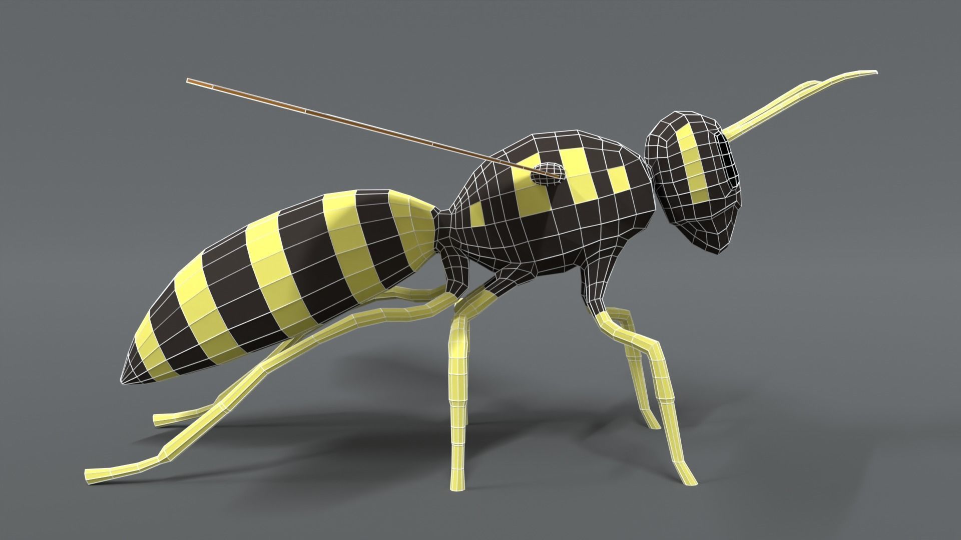 Low Poly Cartoon Hornet Low-poly 3D model_14