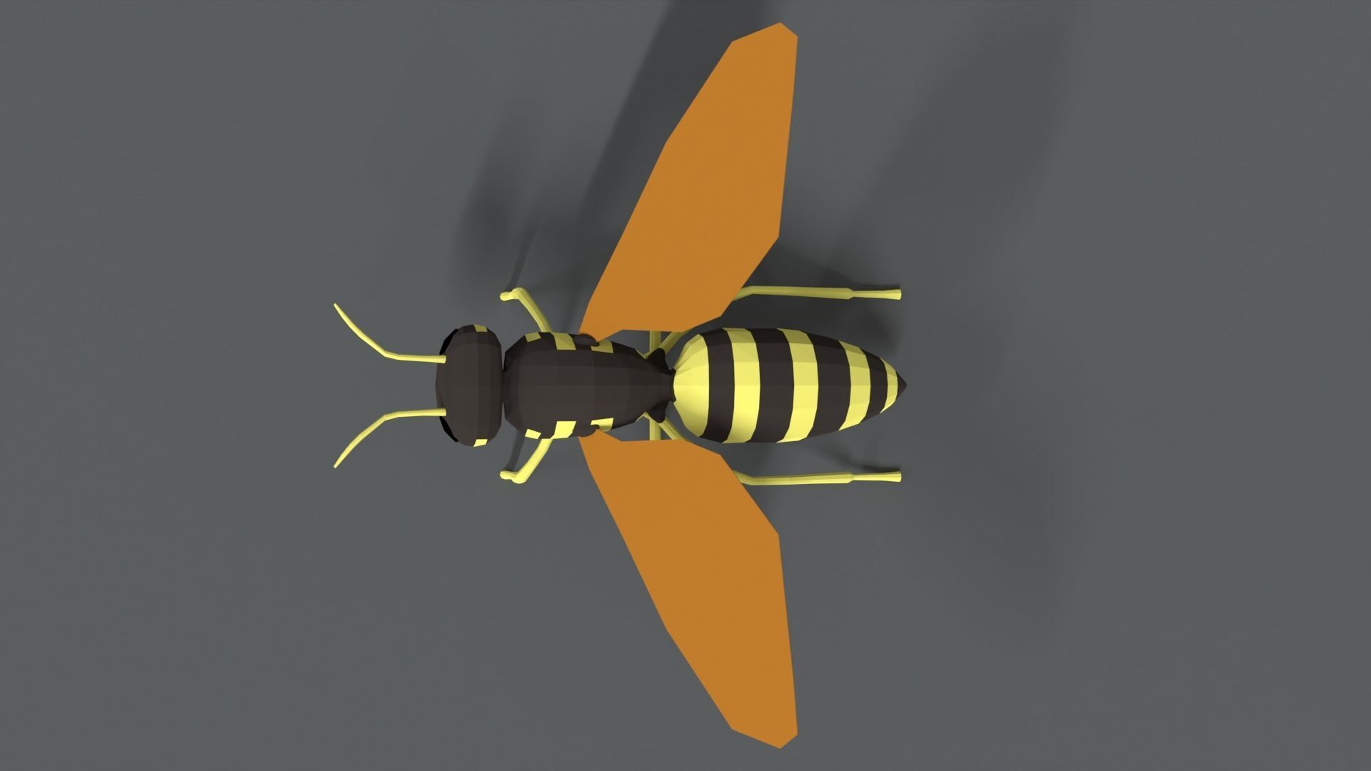 Low Poly Cartoon Hornet Low-poly 3D model_8