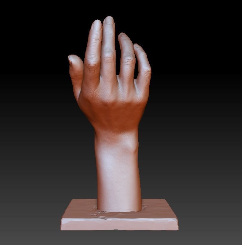 Woman hand art decorative printable sculpt  3D print model_11