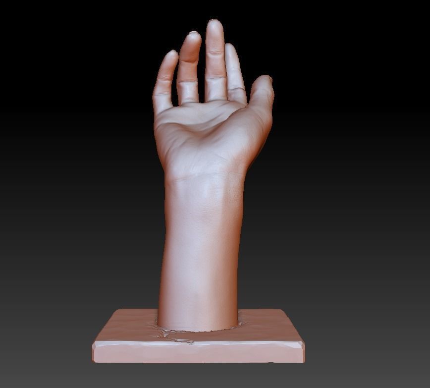 Woman hand art decorative printable sculpt  3D print model_10