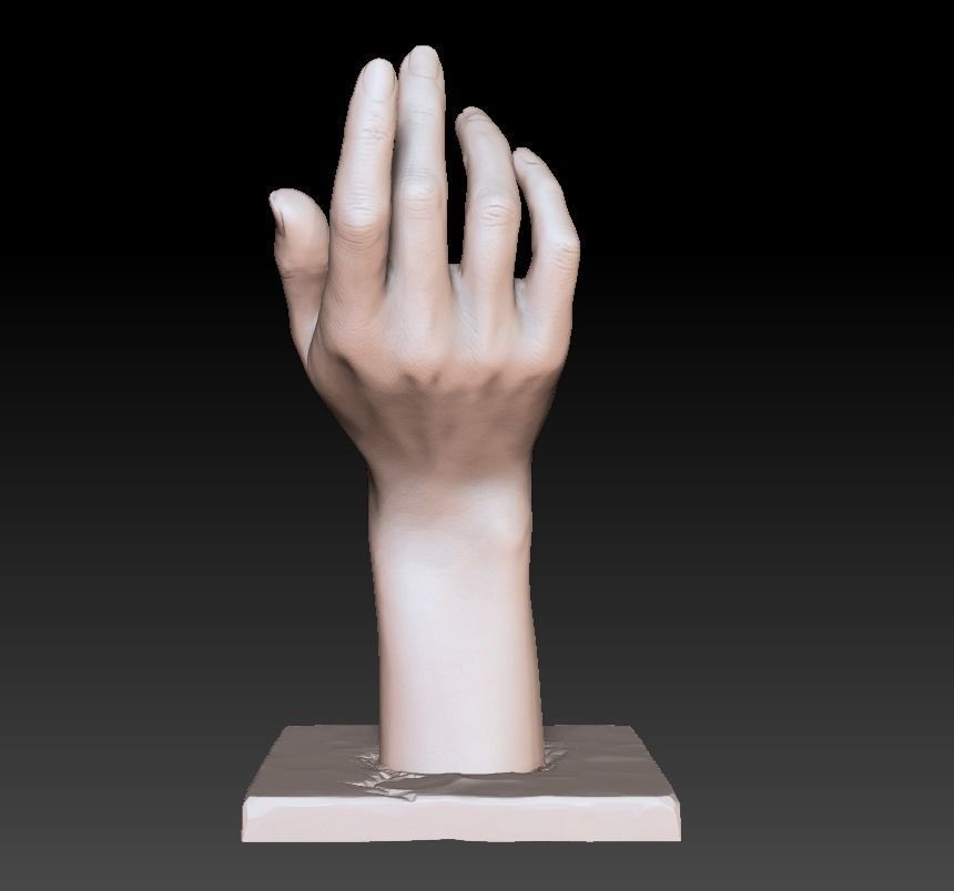 Woman hand art decorative printable sculpt  3D print model_13