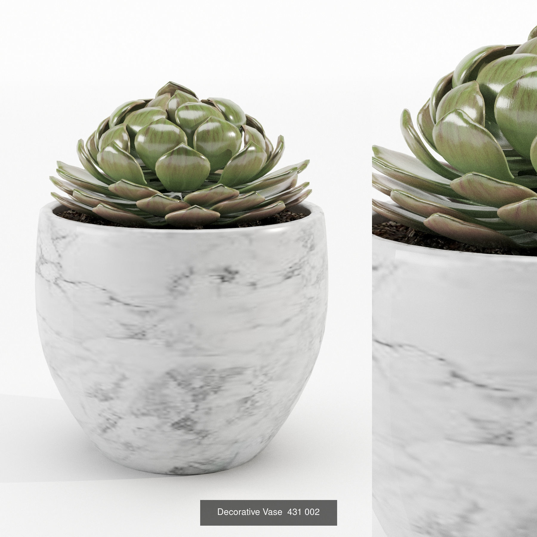 Collection plant 001 _3