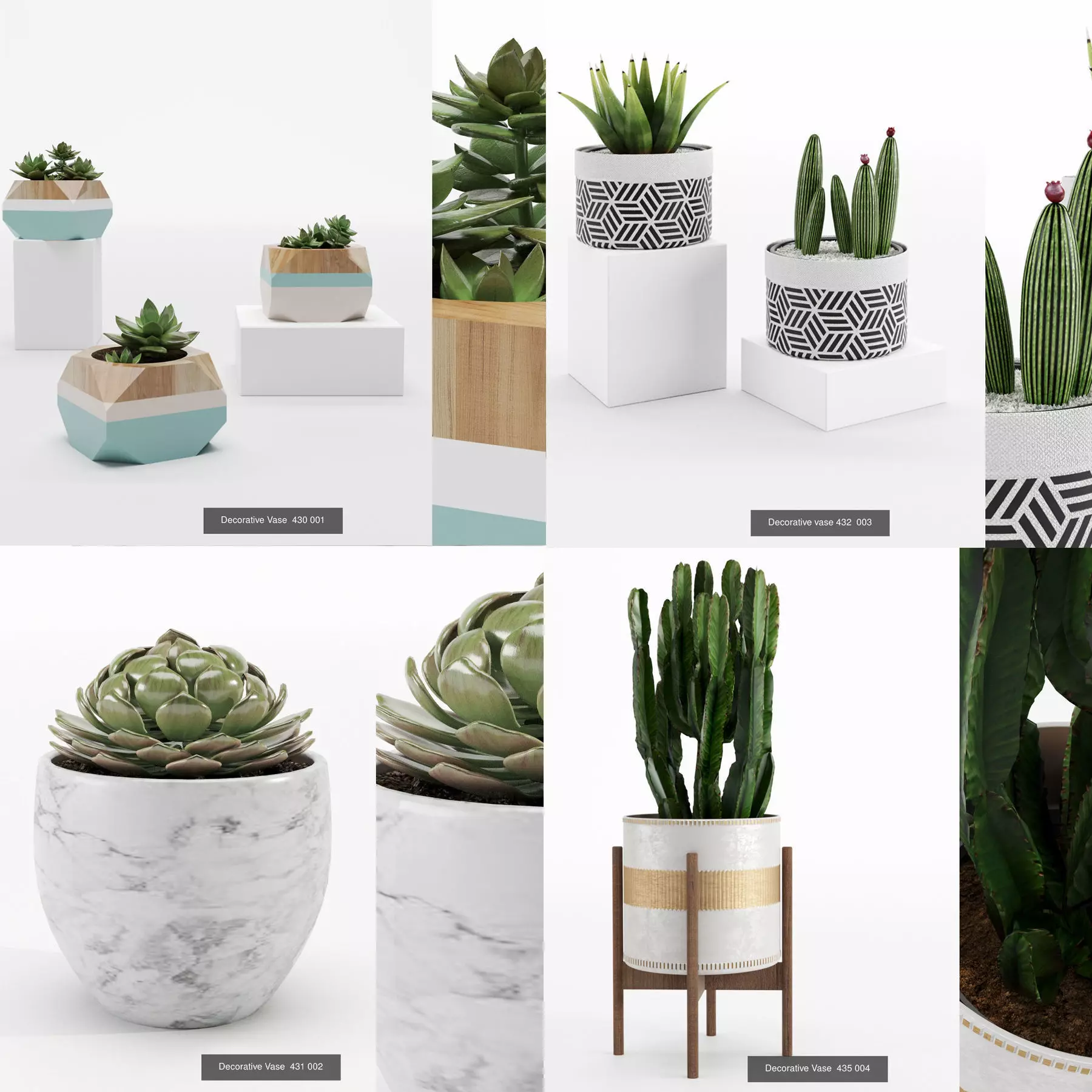 Collection plant 001 _0