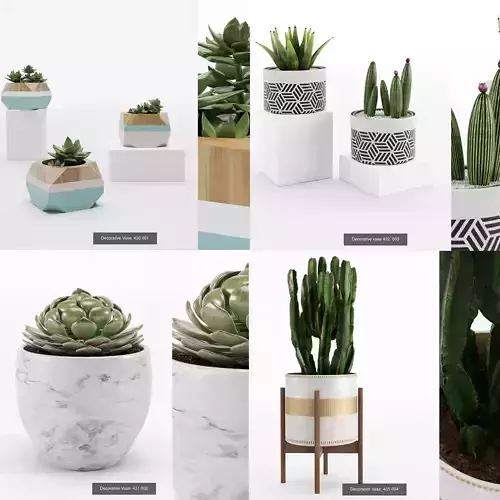 Collection plant 001