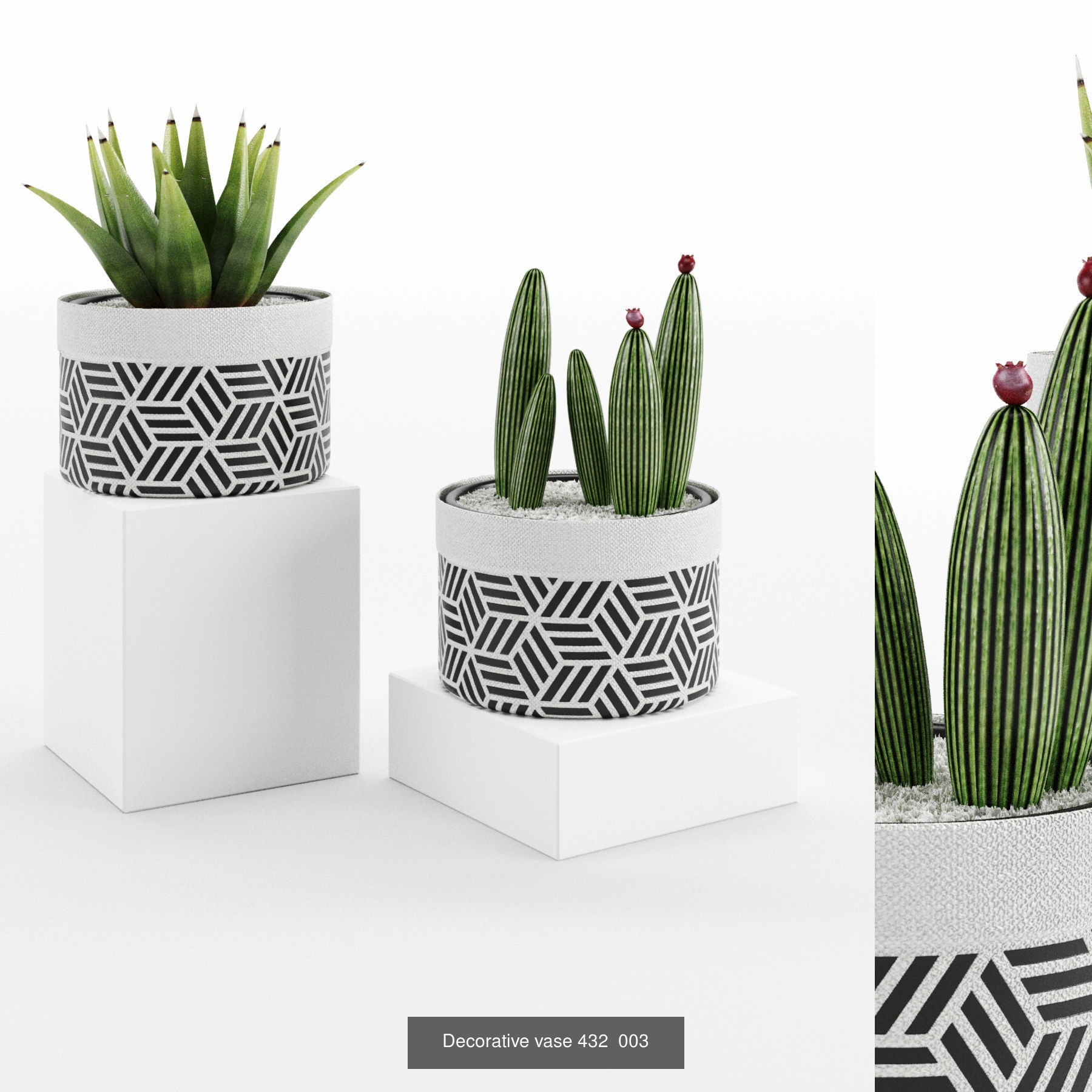 Collection plant 001 _2