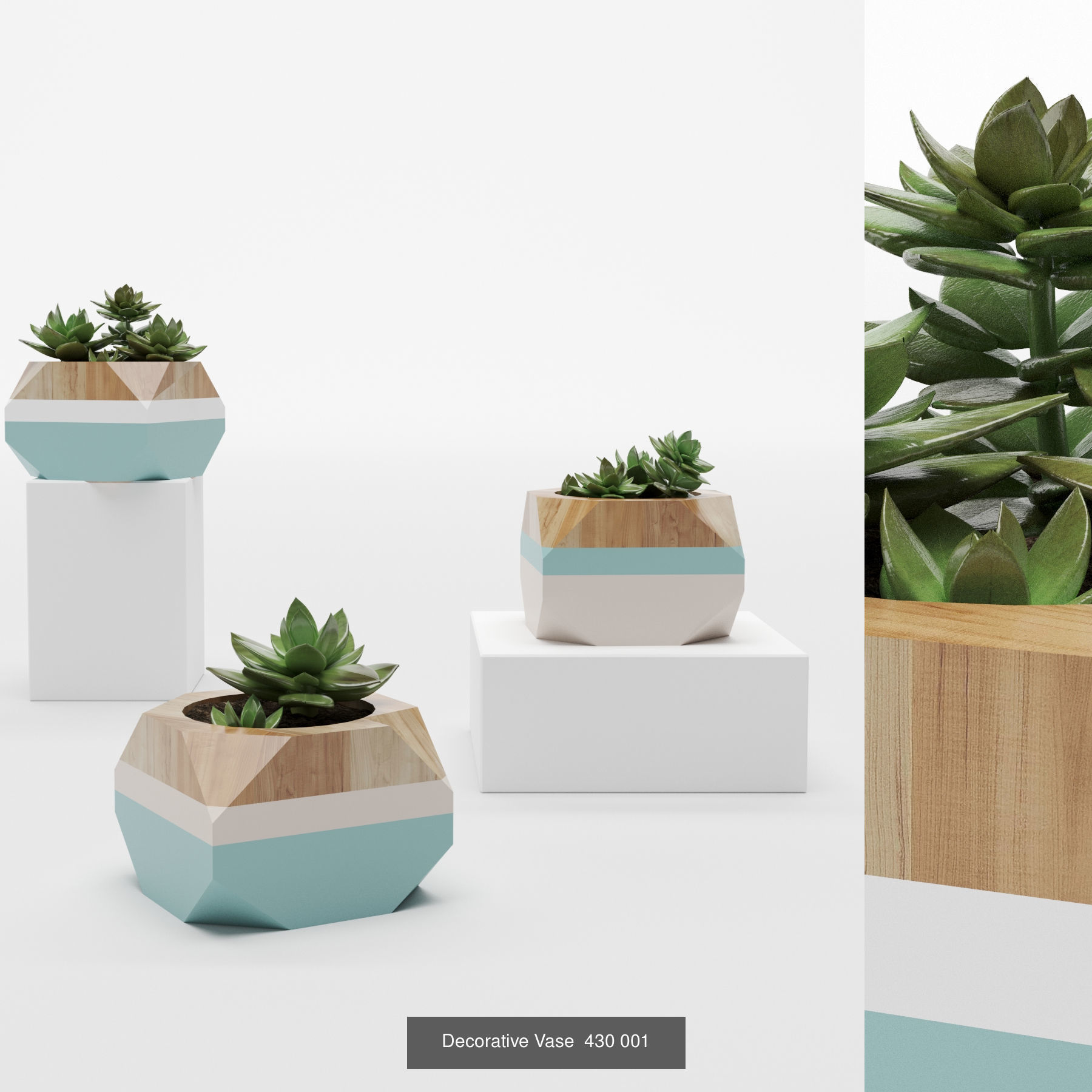 Collection plant 001 _1