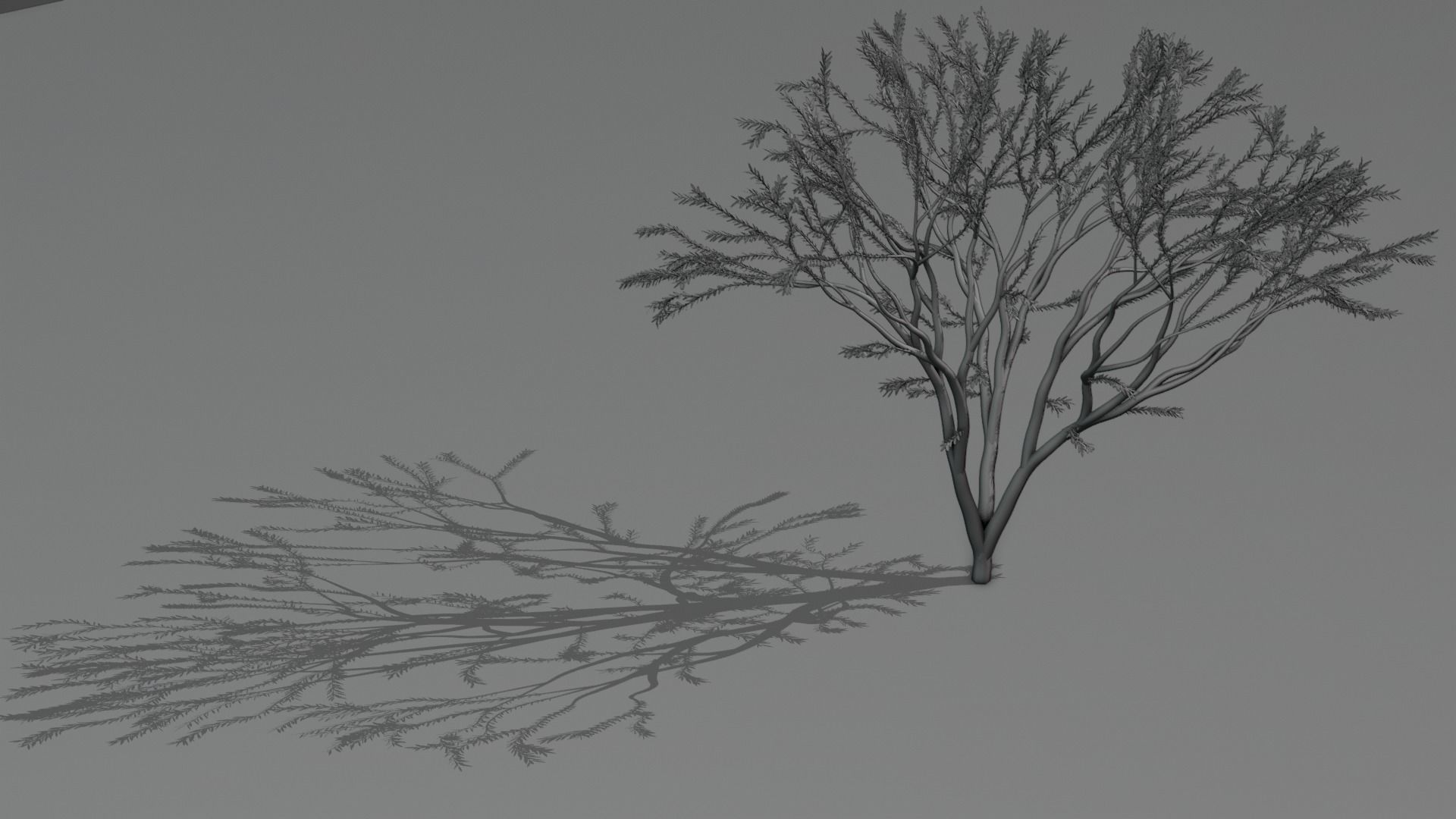 the animated tree Free low-poly 3D model_8