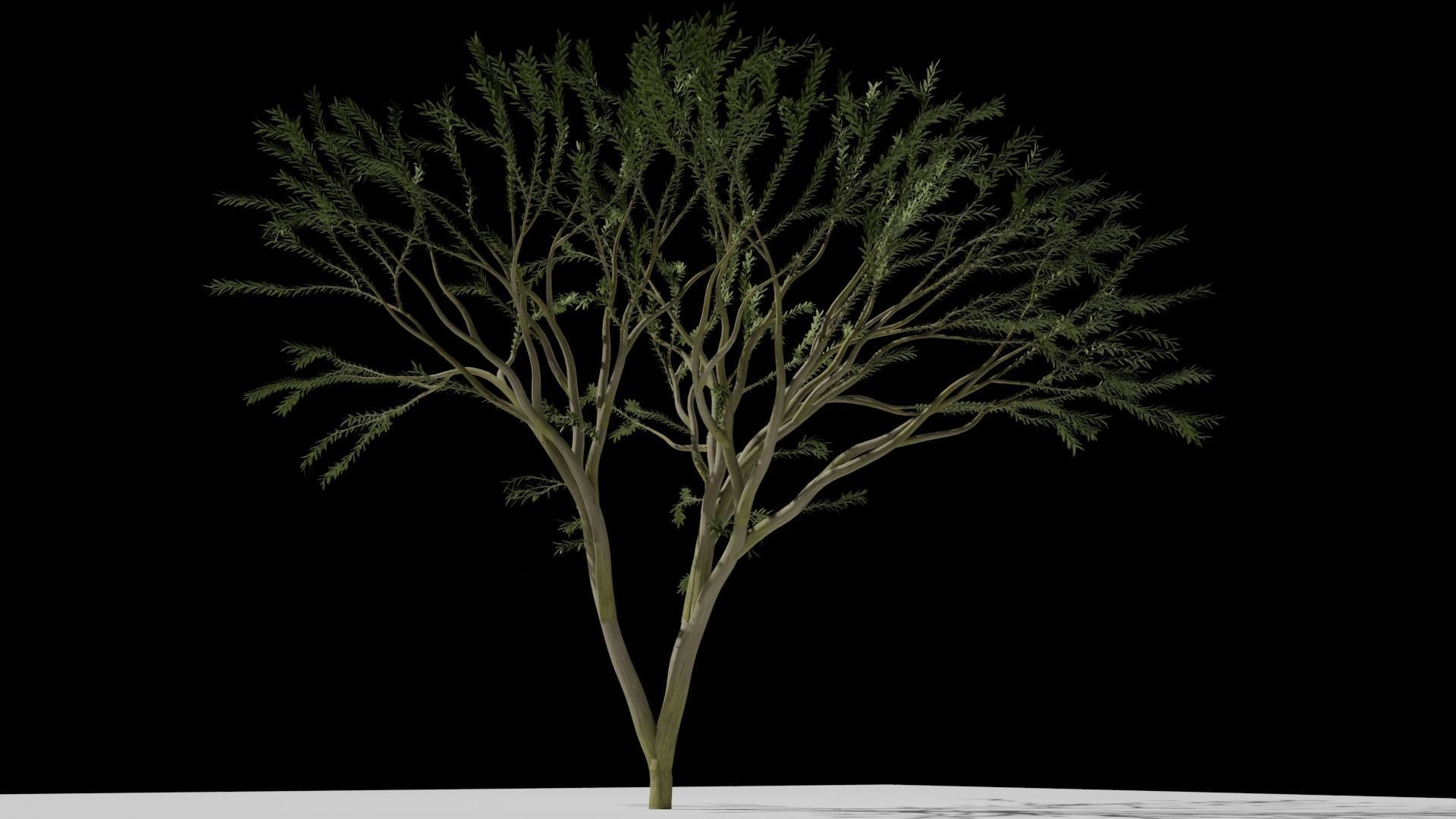 the animated tree Free low-poly 3D model_4