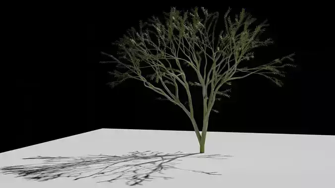 the animated tree Free low-poly 3D model