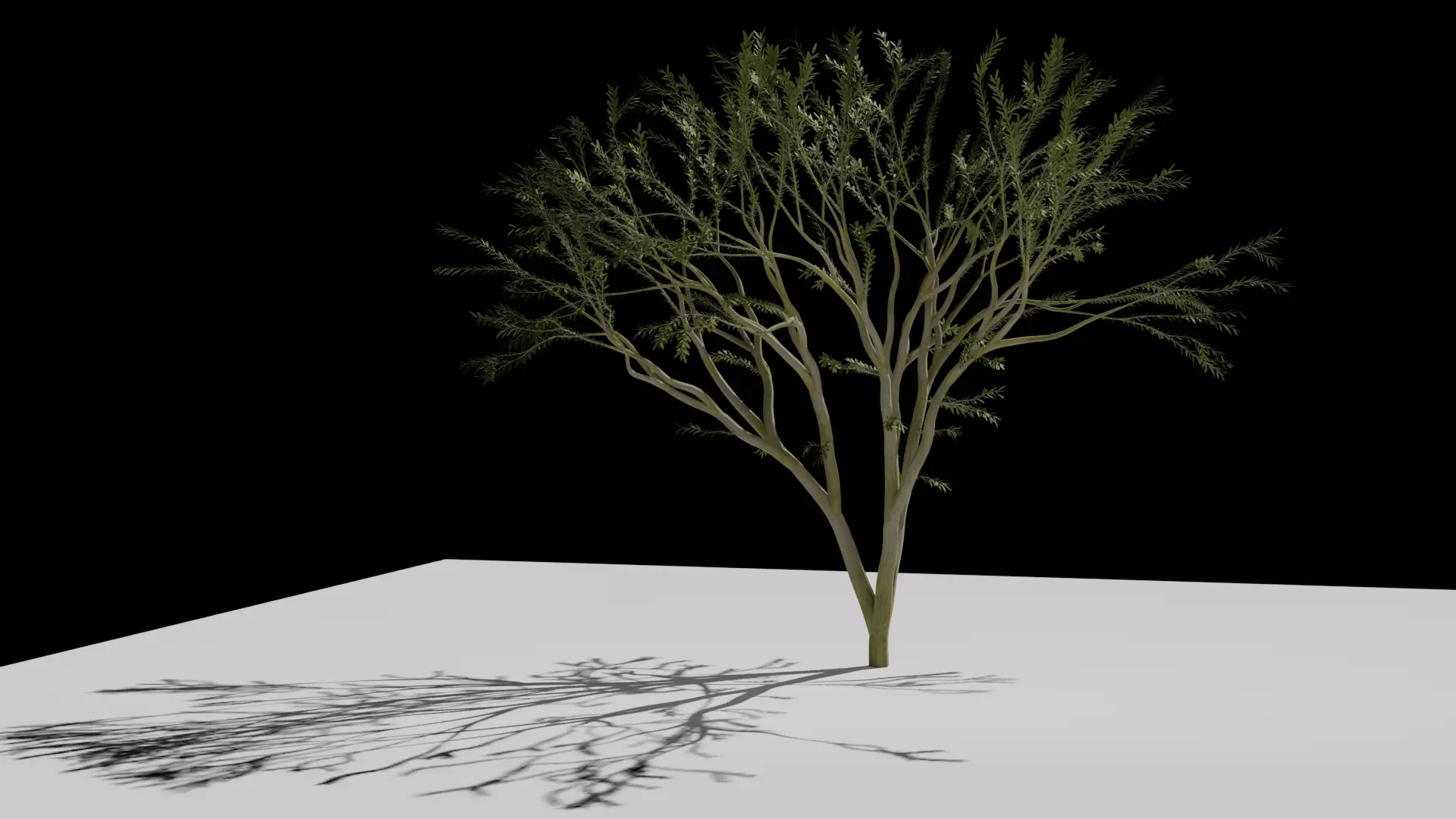 the animated tree Free low-poly 3D model_0