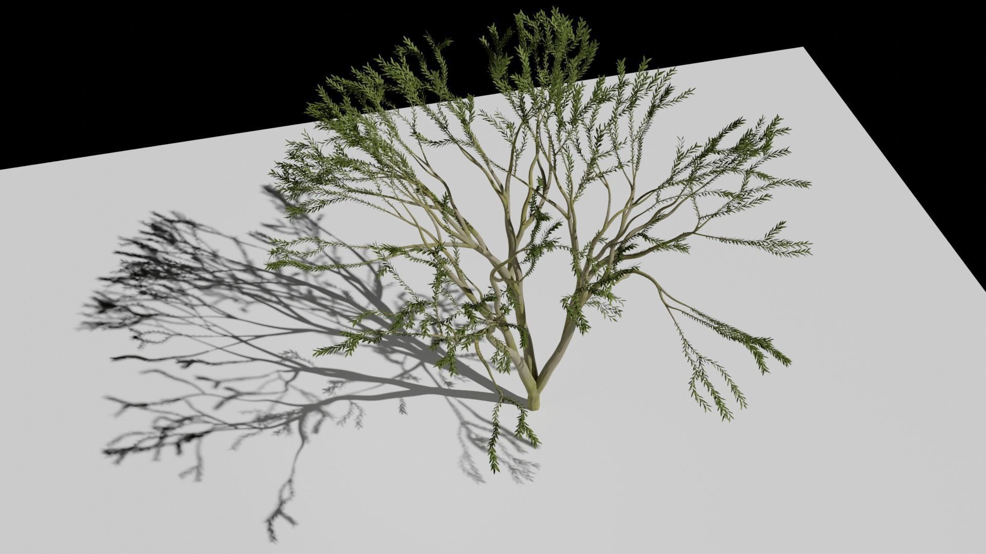 the animated tree Free low-poly 3D model_5